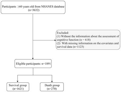 Mediation effect of cognitive impairment for the relationship of type 2 diabetes mellitus with mortality among elderly individuals